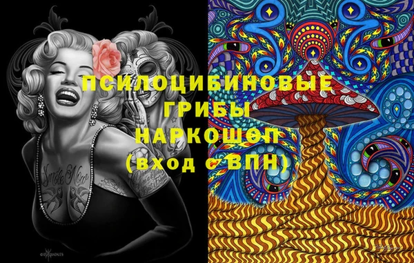 стафф Богданович